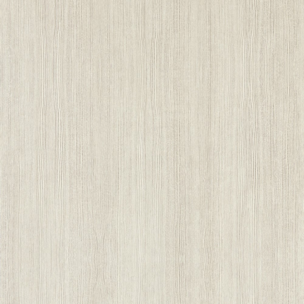 Wood Veneer Wallpaper 113209 by Harlequin in Silver Birch